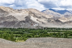 Thiksey Monastry Landscape Ladakh India