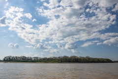 Rio Madre De Dios Island Amazonas Perù