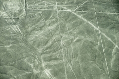 The Condor Nazca Lines Geoglyphs Aerial Perù