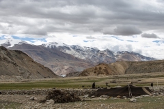 Changthang Plateau View near Tso Moriri Lake Ladakh India
