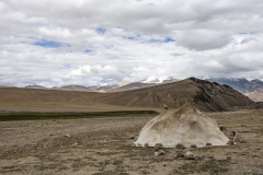 Changthang Plateau near Tso Moriri Lake Ladakh India