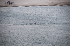 Walking on Ganges Water Varanasi Uttar Pradesh India