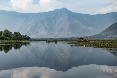 Dal Lake Landscape Srinagar Kashmir India