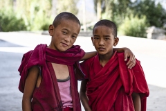 Young Monk in Likir Monastry Ladakh India