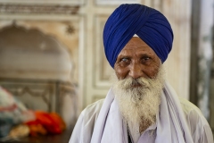 Sikh Portrait Golden Temple Amristar Punjab India