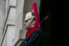 Horse Royal Guard Whitehall London England
