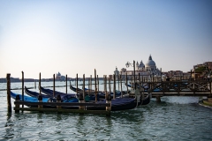 Basilica of the Salute Skyline Venice Italy